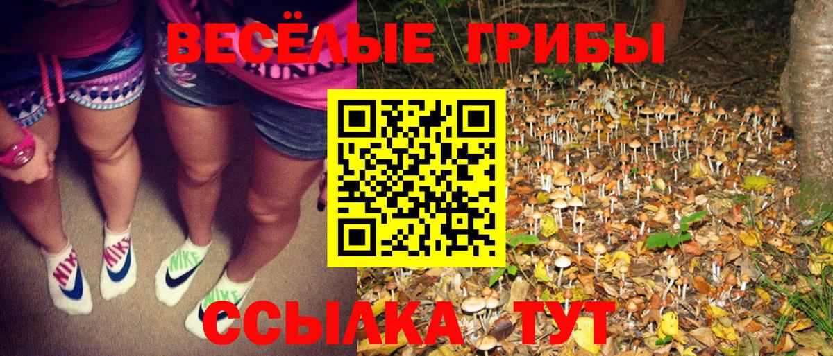 Псилоцибиновые грибы Cubensis Выкса