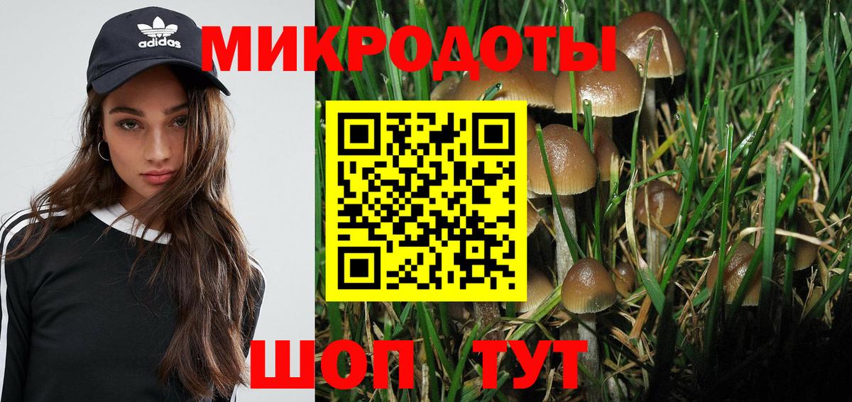 Псилоцибиновые грибы Magic Shrooms  Вход с VPN  Выкса  Псилоцибиновые грибы прущие грибы 